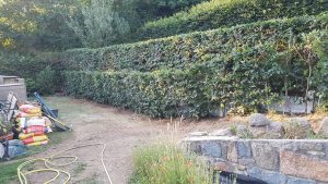 landscaping guernsey bernie's gardening services
