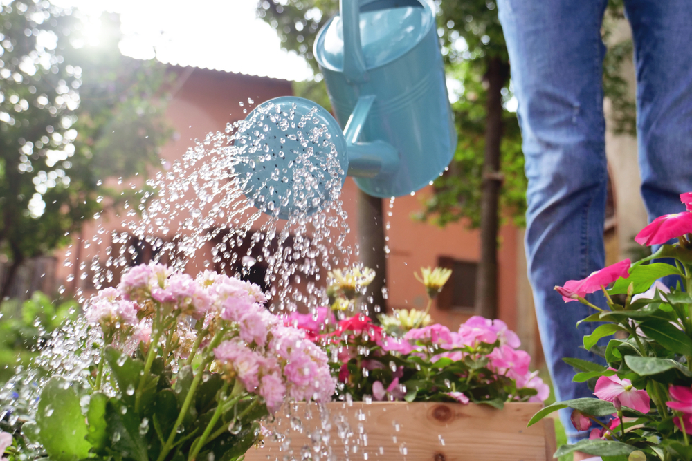 How to Use Grey Water in the Garden